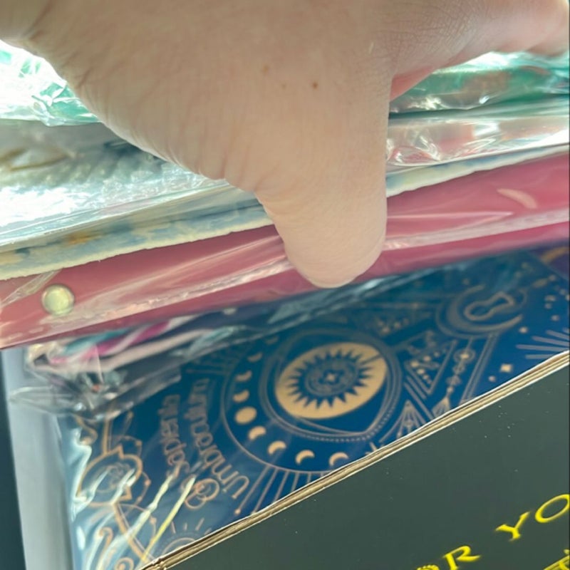 Assortment of book box goodies 