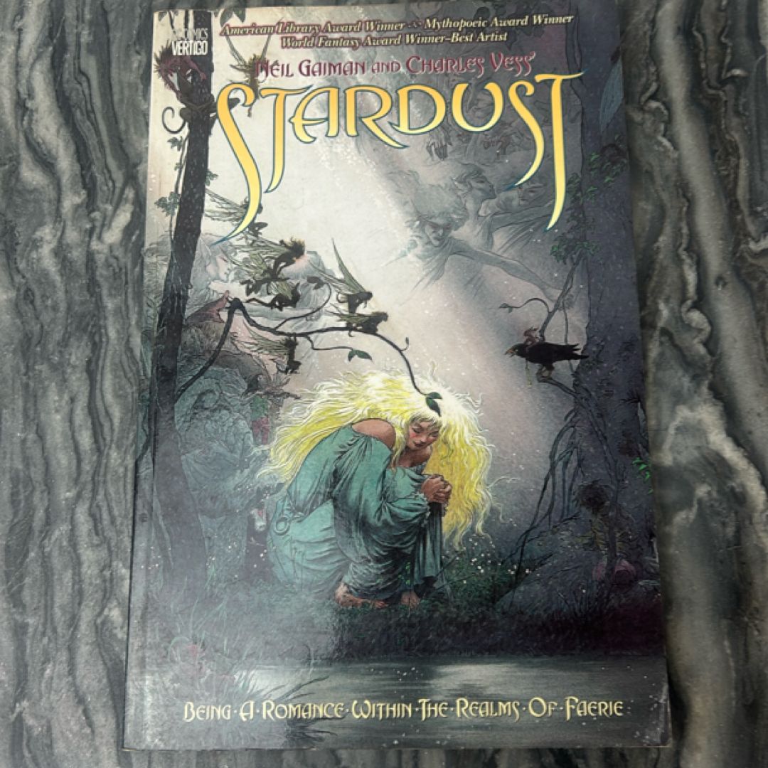 Neil Gaiman Charles Vest Stardust