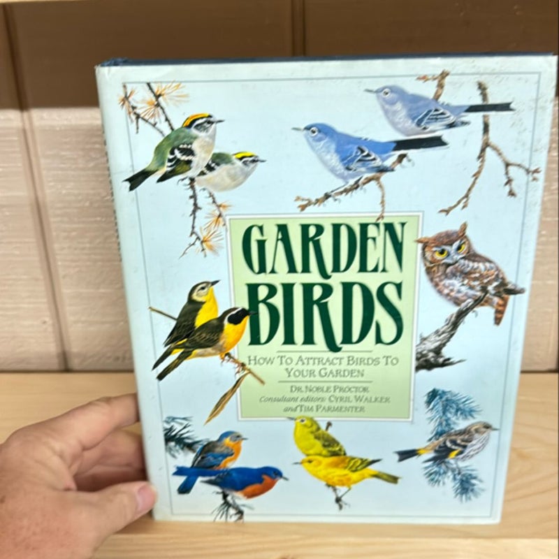 Garden Birds