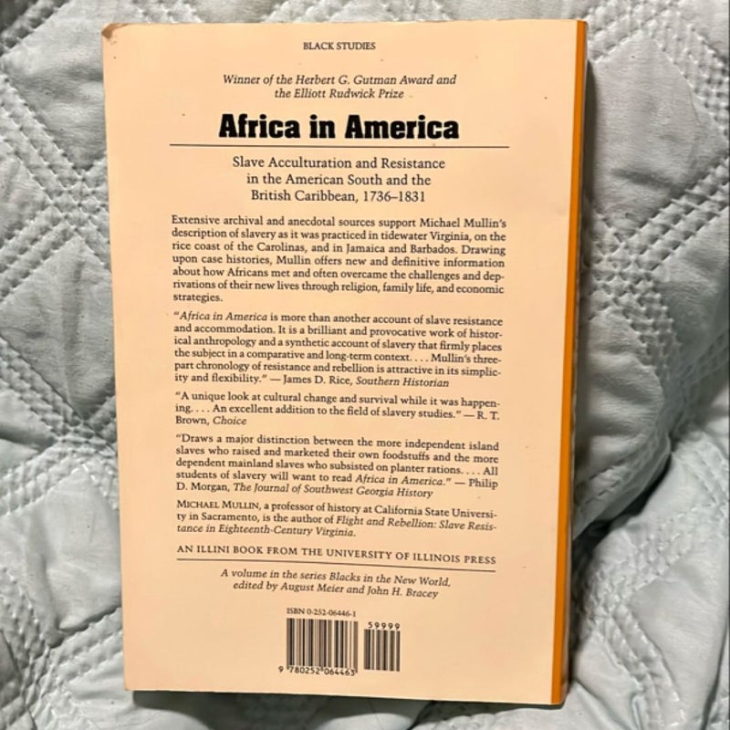 Africa in America