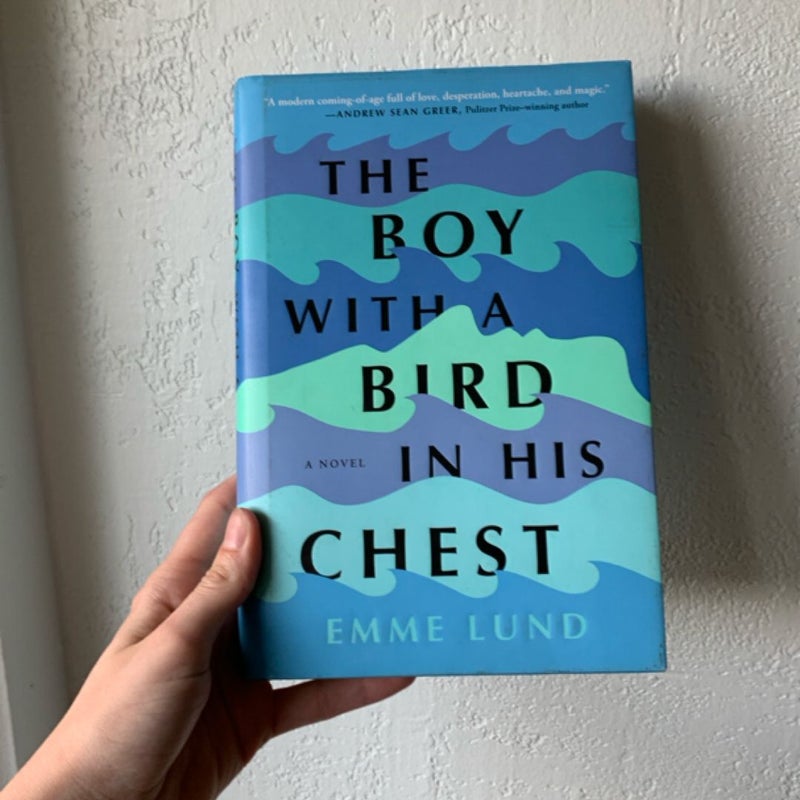 The Boy with a Bird in His Chest