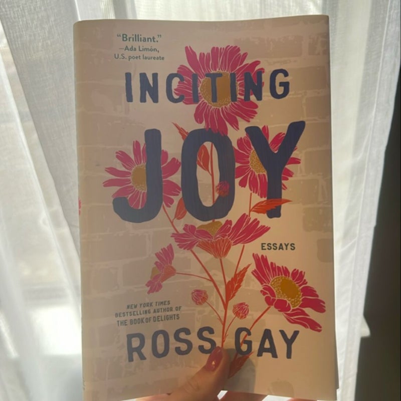 Inciting Joy