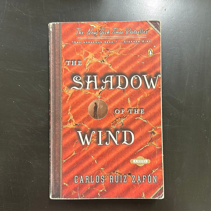 The Shadow of the Wind