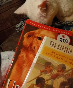 Two books; The captain's dog, until Tuesday