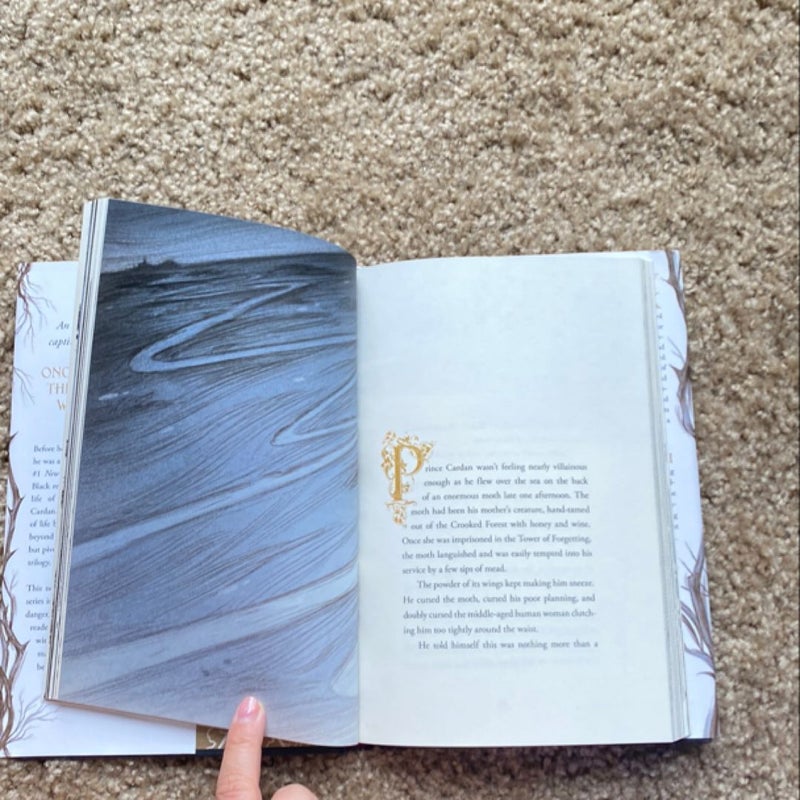 How the King of Elfhame Learned to Hate Stories