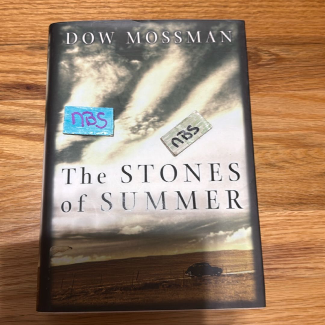 The Stones of Summer