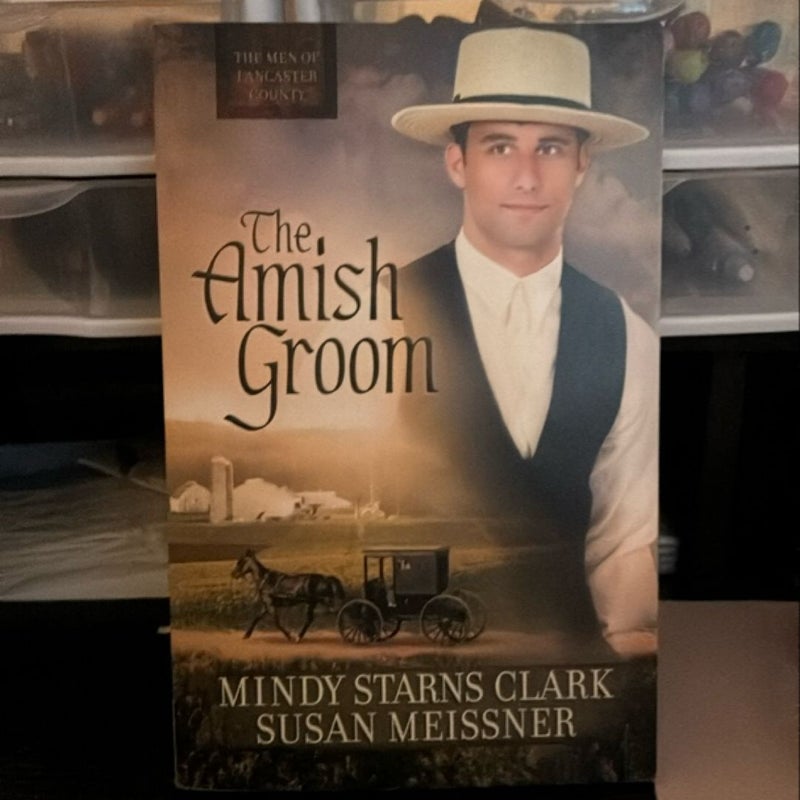 The Amish Groom