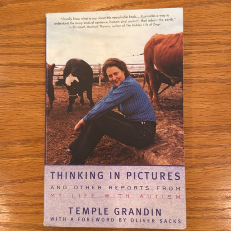 Thinking in Pictures