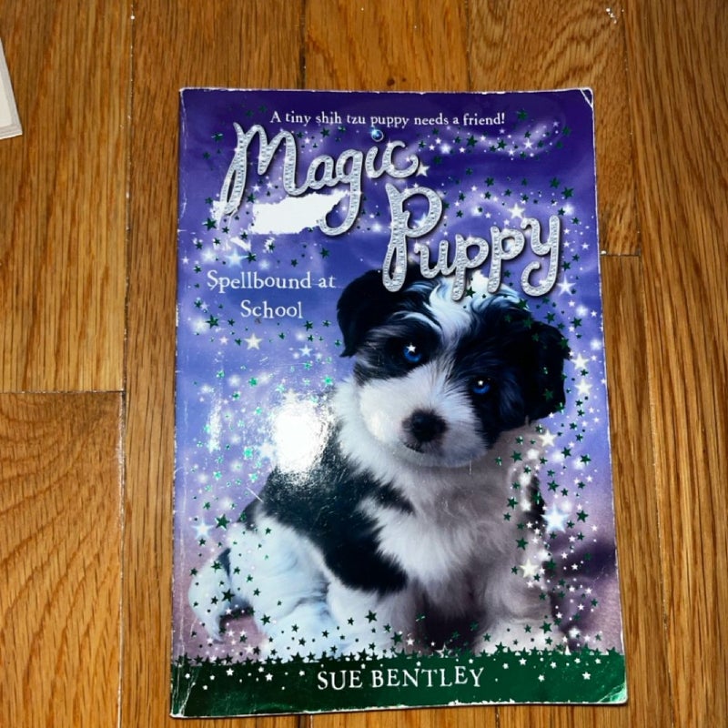 Magic Puppy