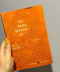 The Space Between Us