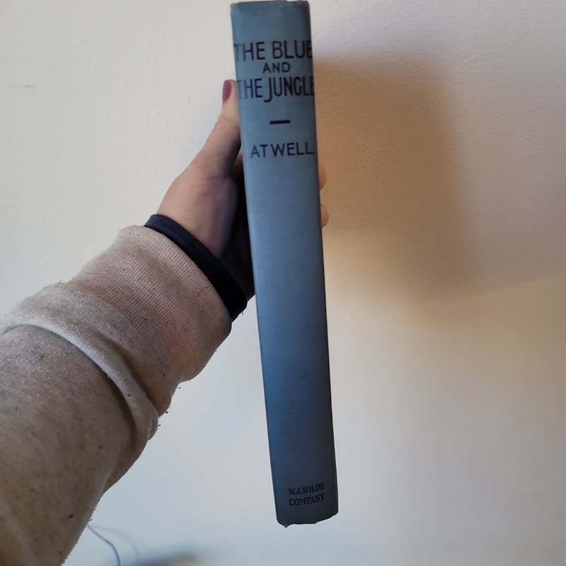 The Blue and The Jungle