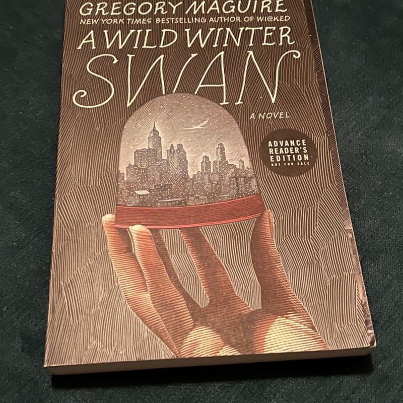 A Wild Winter Swan Advanced Reader’s Edition