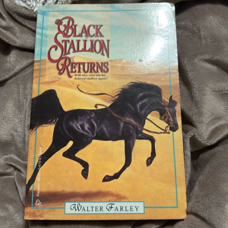 The Black Stallion Returns