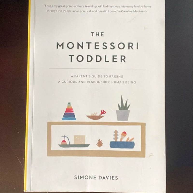 The Montessori Toddler