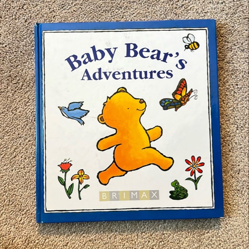 Baby Bear's Adventures