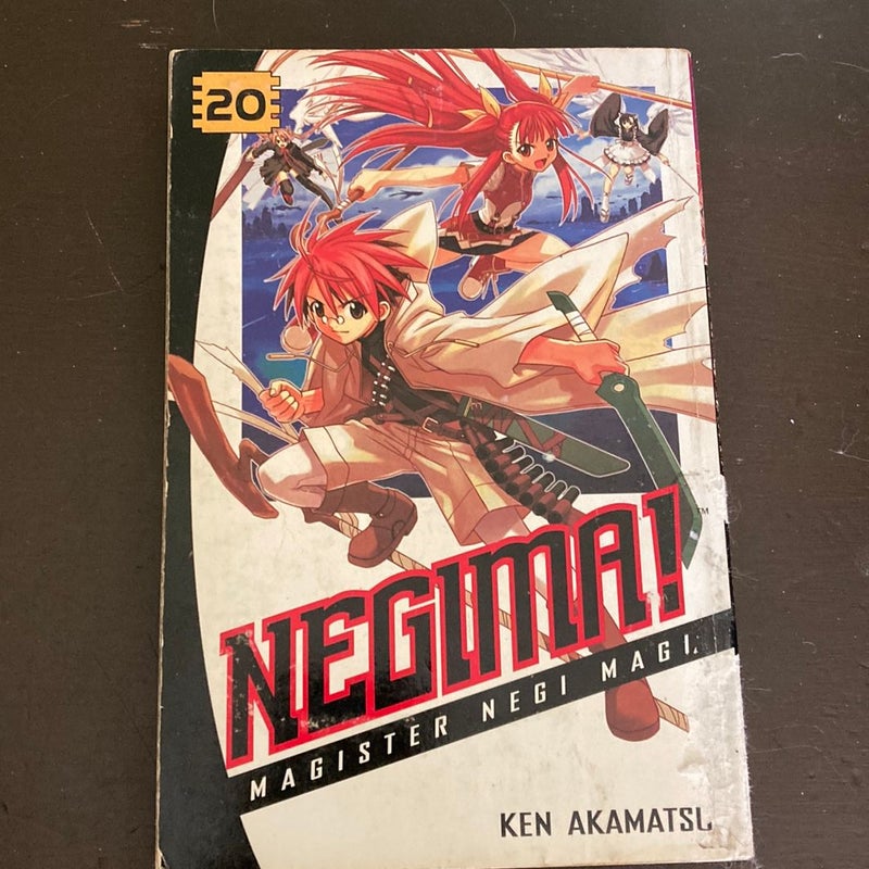 Negima! 20