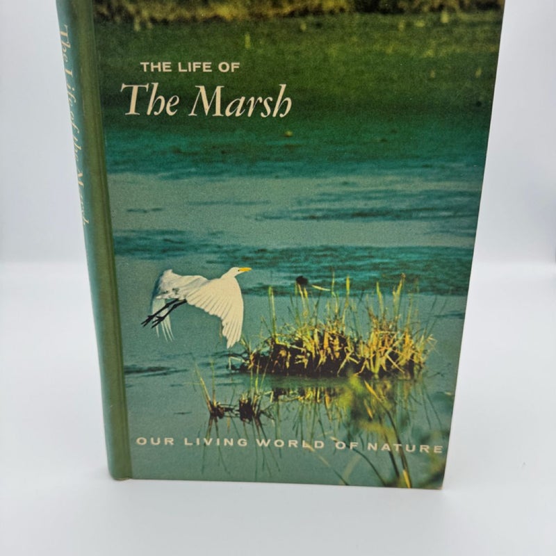 The Life of the Marsh