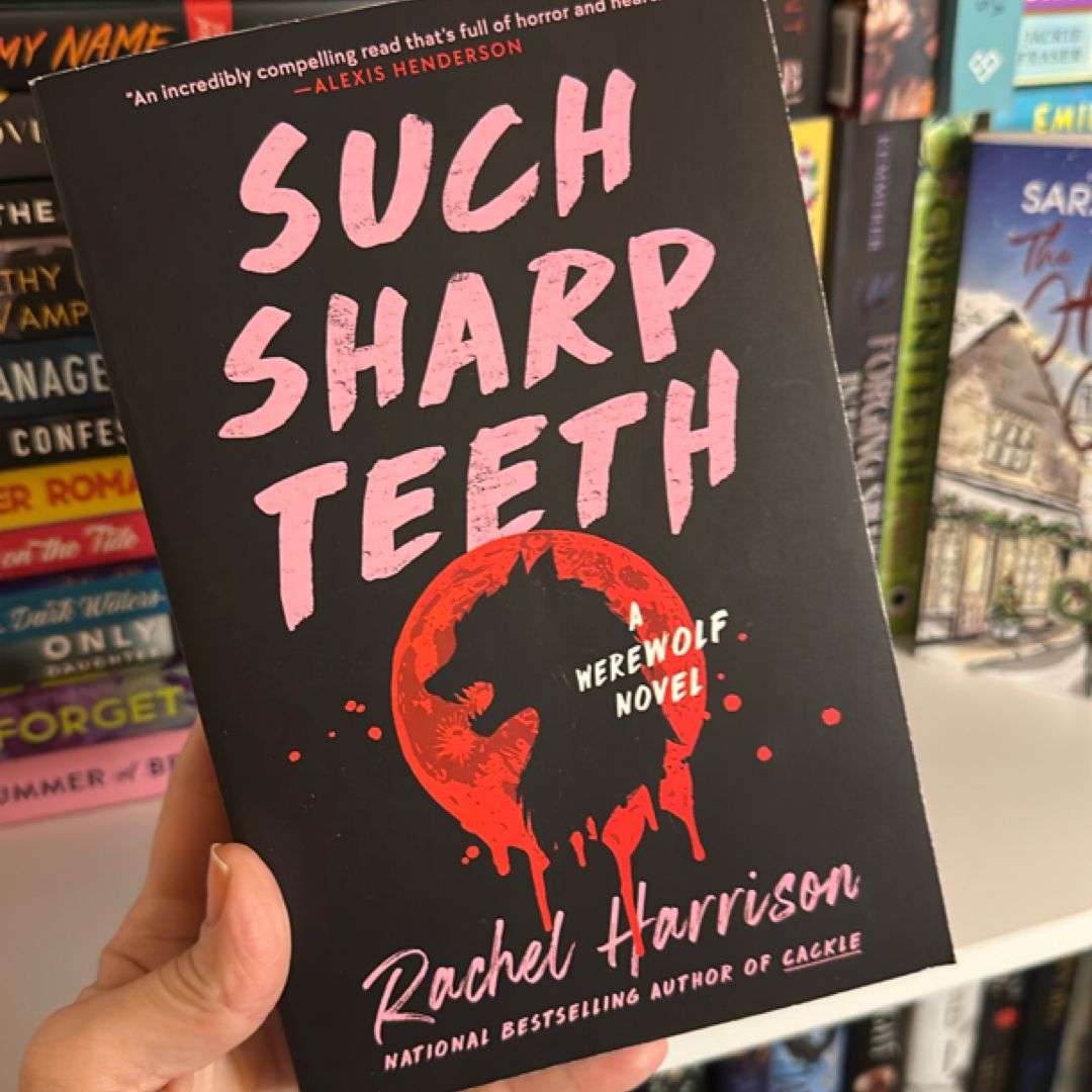 Sale image for b1be062f-06a1-4480-97ab-685dc6b819ea-WVlZvdGnptXKIJs0XY3J7NXq3Cr1