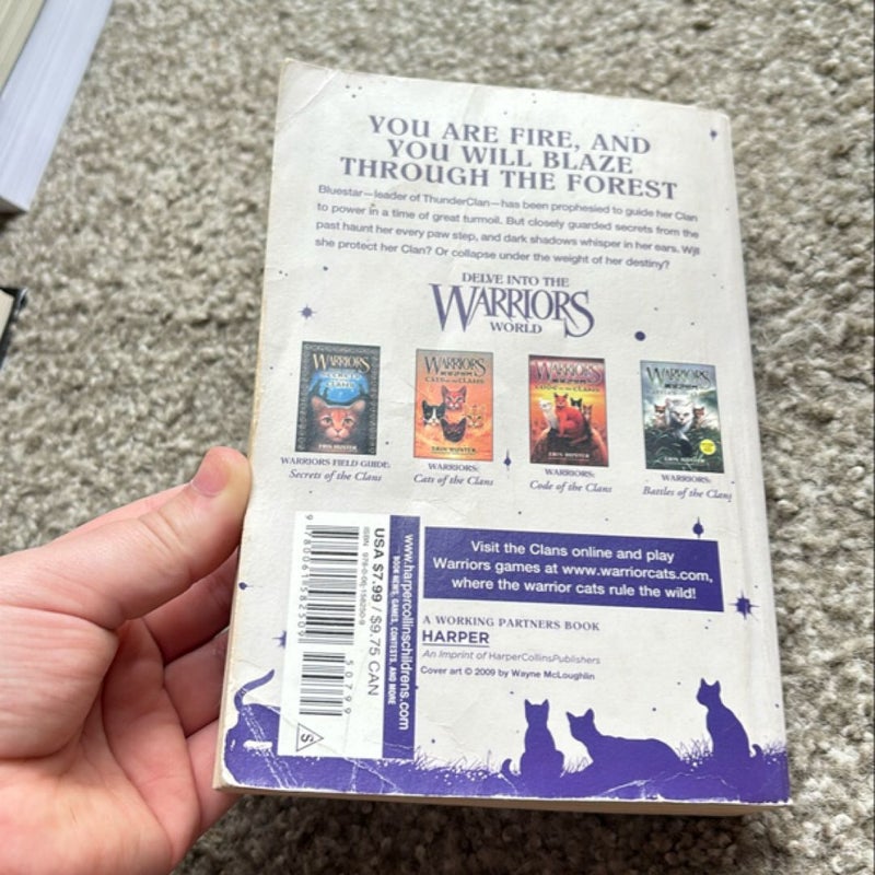 Warriors Super Edition: Bluestar's Prophecy