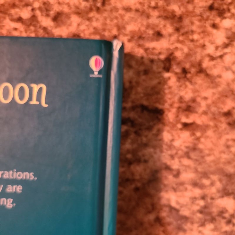 Racoon on the Moon and Other Tales