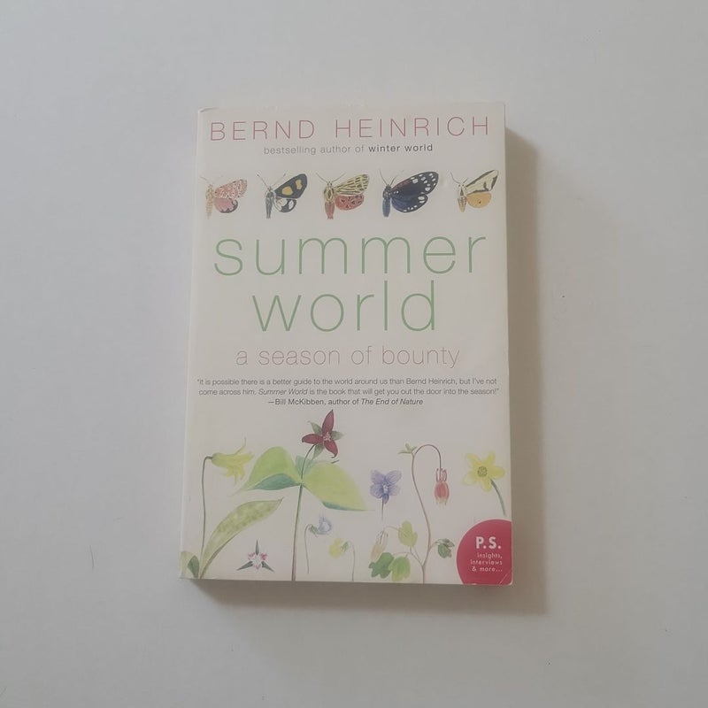 Summer World