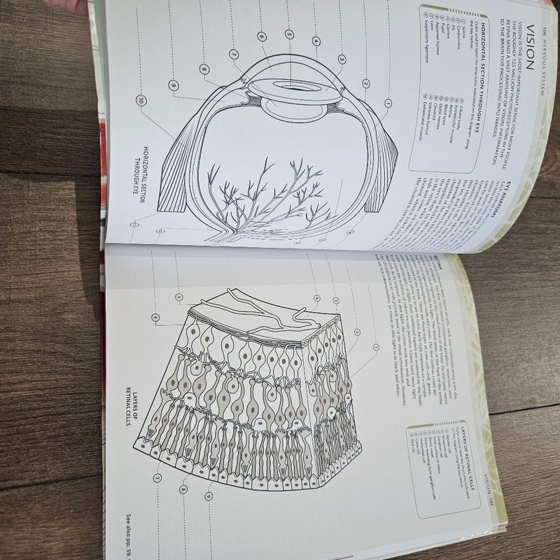 The Human Body Coloring Book