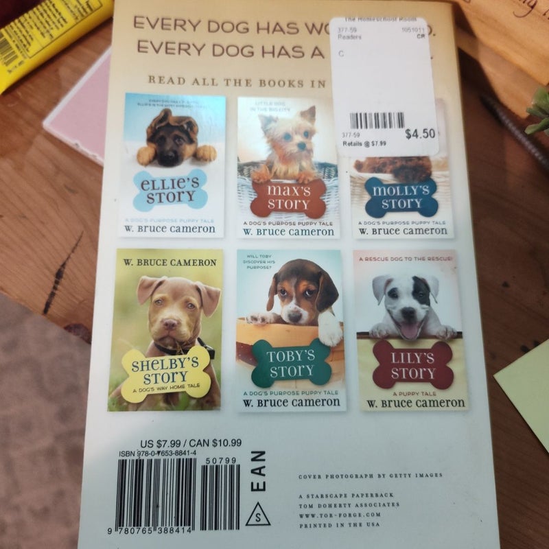 Bailey's Story