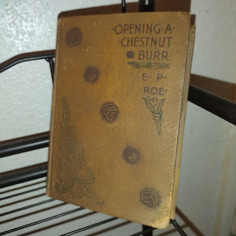 Opening a Chestnut Burr