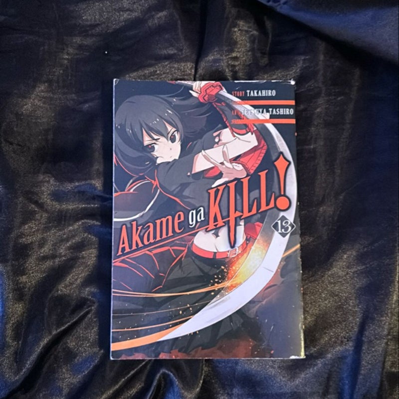 Akame Ga KILL!, Vol. 13