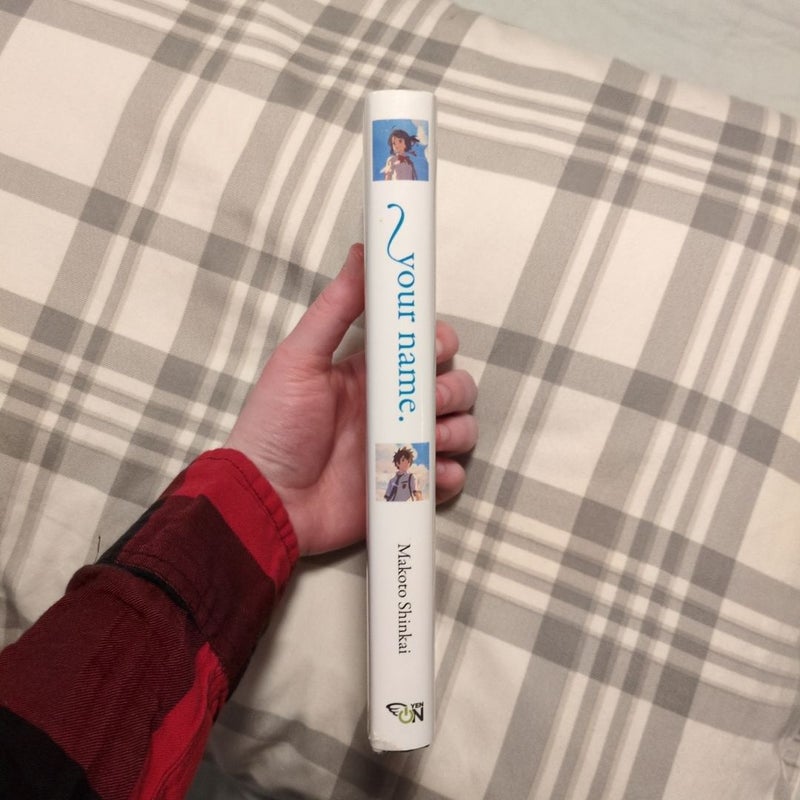Your Name. (light Novel)