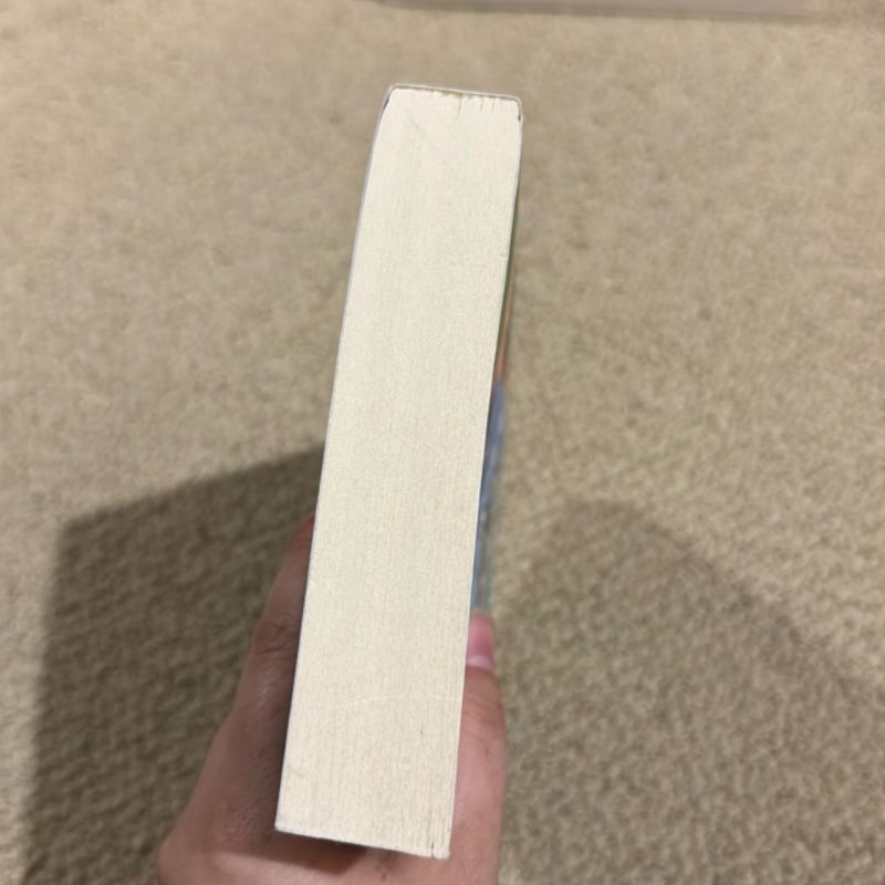 A Cat Cafe Christmas