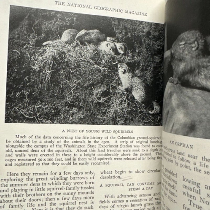 National Geographic Book Volume XLVII