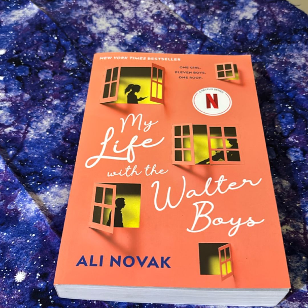 My Life with the Walter Boys