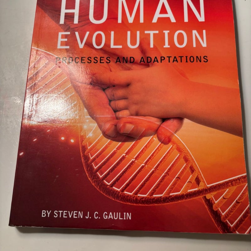 Human evolution processes and adaptations