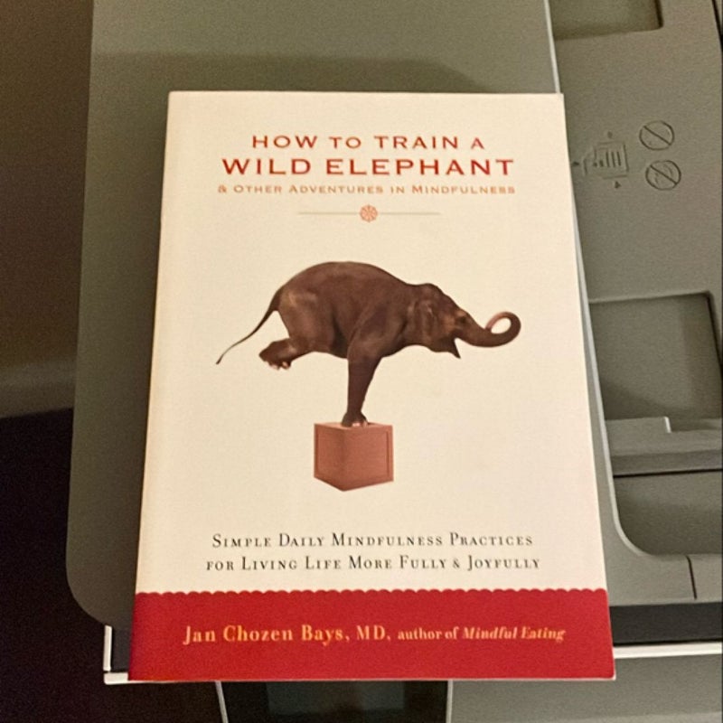 How to Train a Wild Elephant