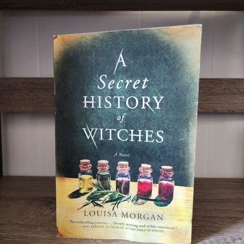 A Secret History of Witches