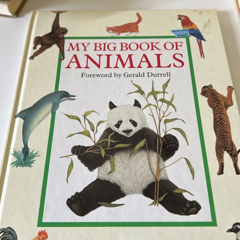 My big book of animals