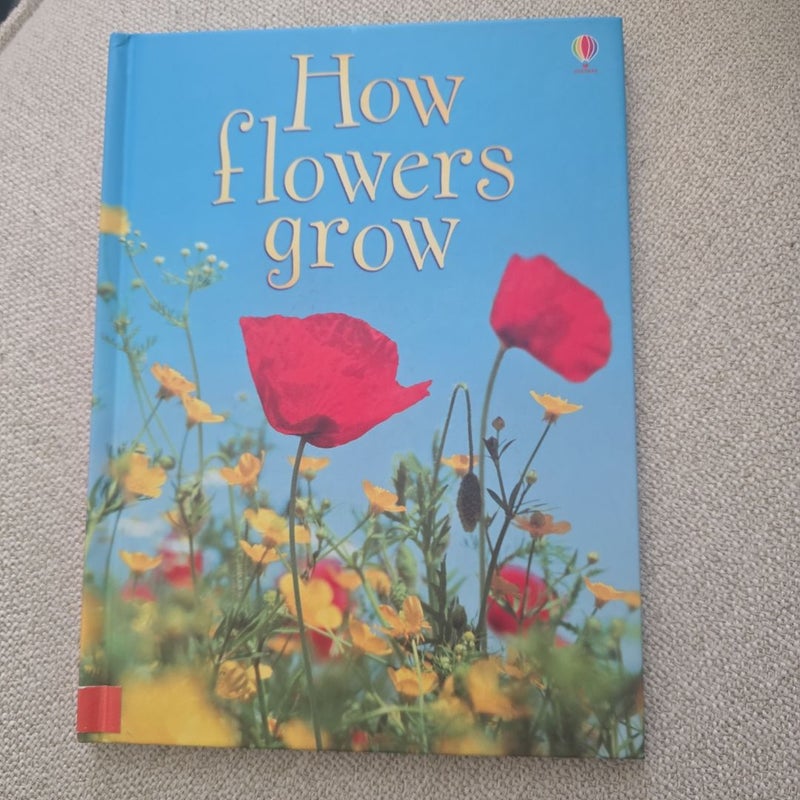 How Flowers Grow