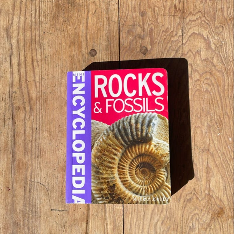 Rocks and Fossils