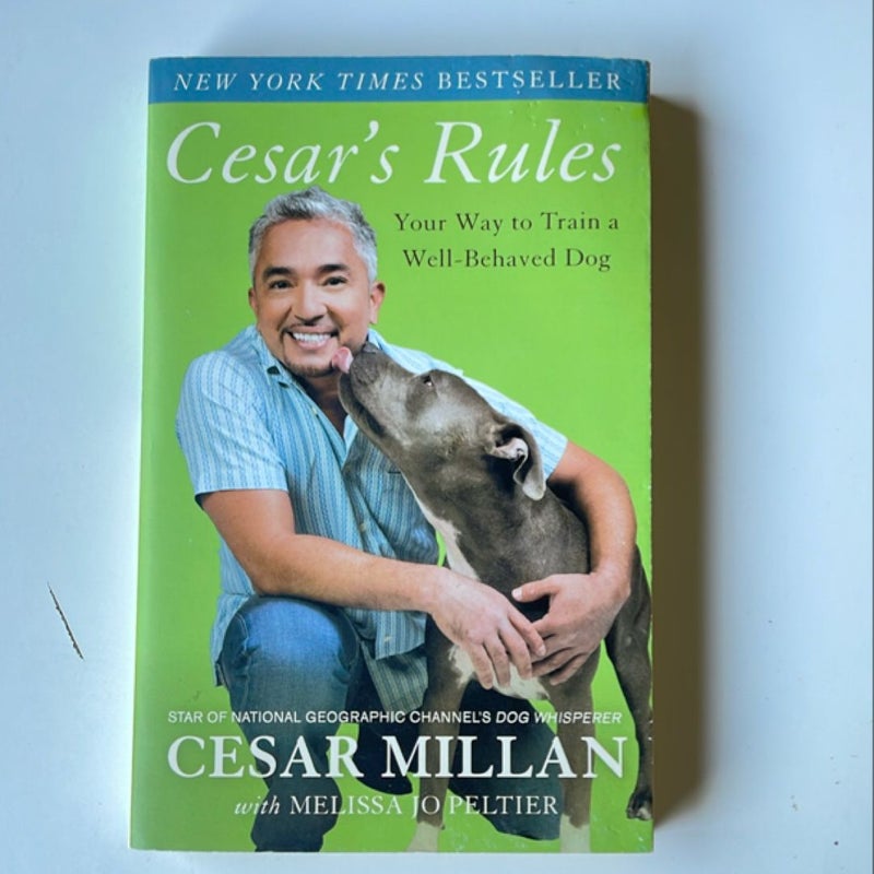 Cesar's Rules