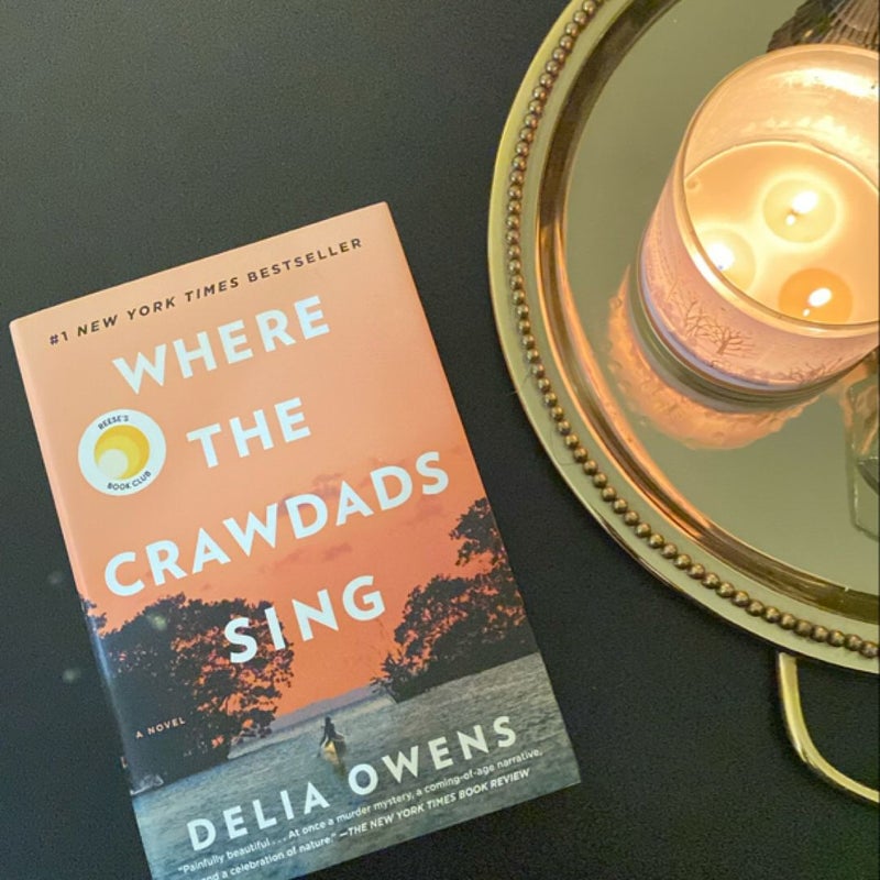 Where the Crawdads Sing