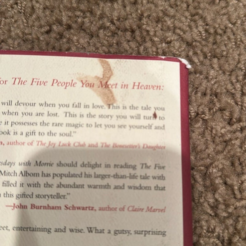 The Five People You Meet in Heaven
