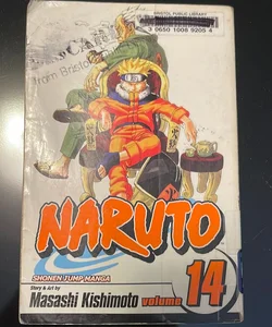 Naruto, Vol. 14