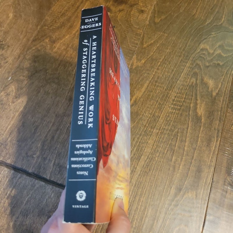 A Heartbreaking Work of Staggering Genius