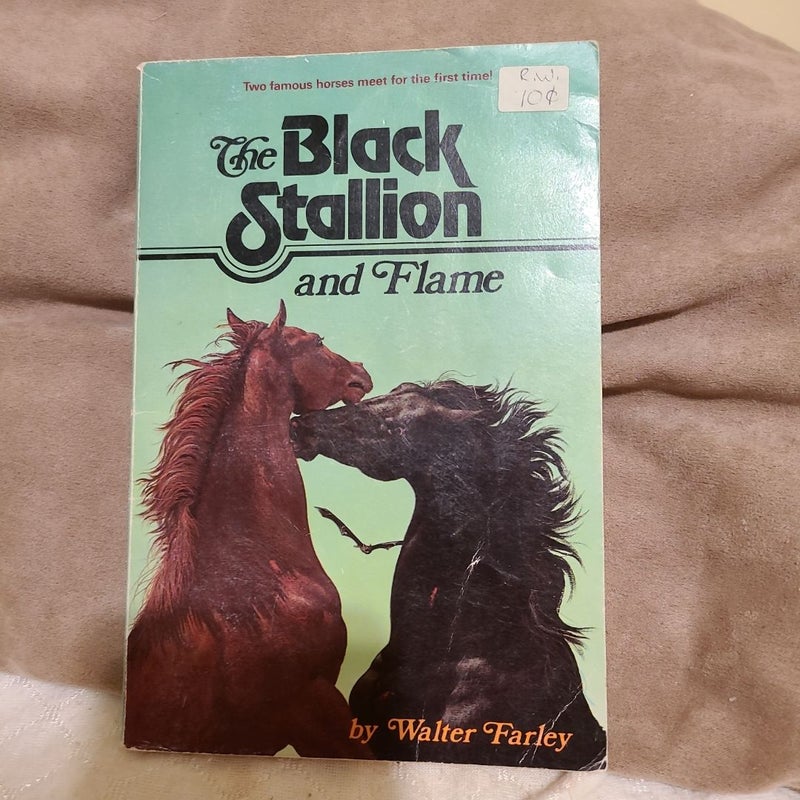 The Black Stallion and Flame