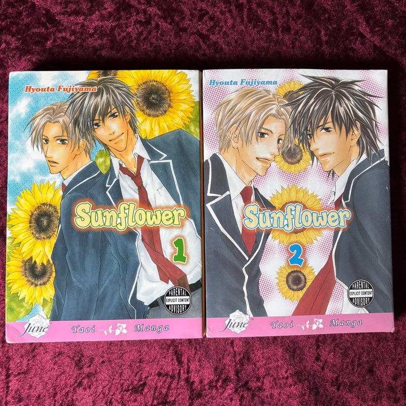 Sunflower (Yaoi)