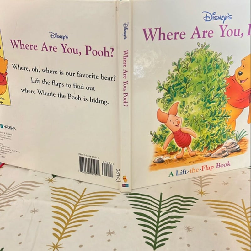 Where Are You Pooh?