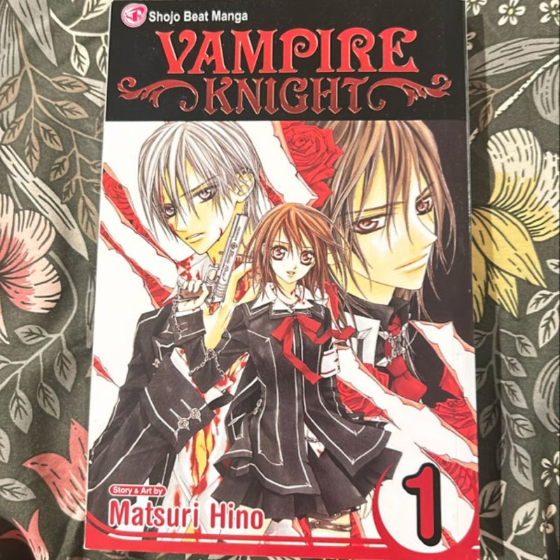 Vampire Knight, Vol. 1