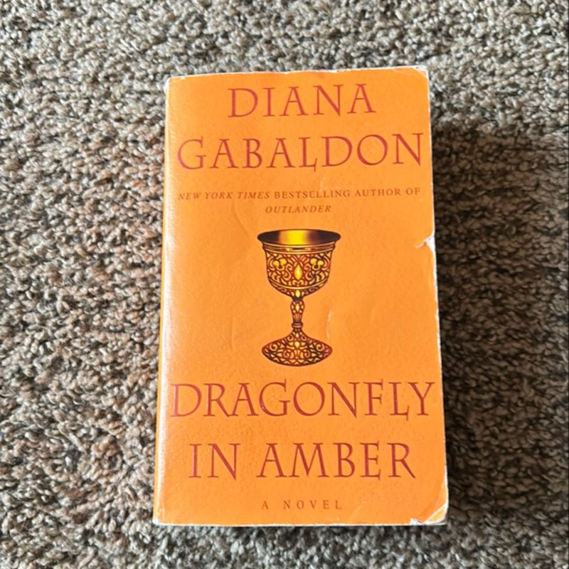 Dragonfly in Amber