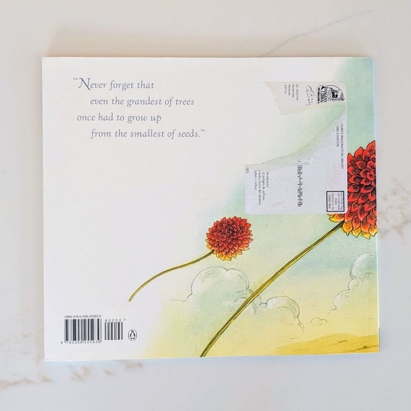 Miss Maple's Seeds